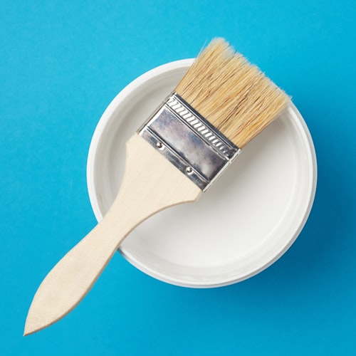 Brocha y pintura